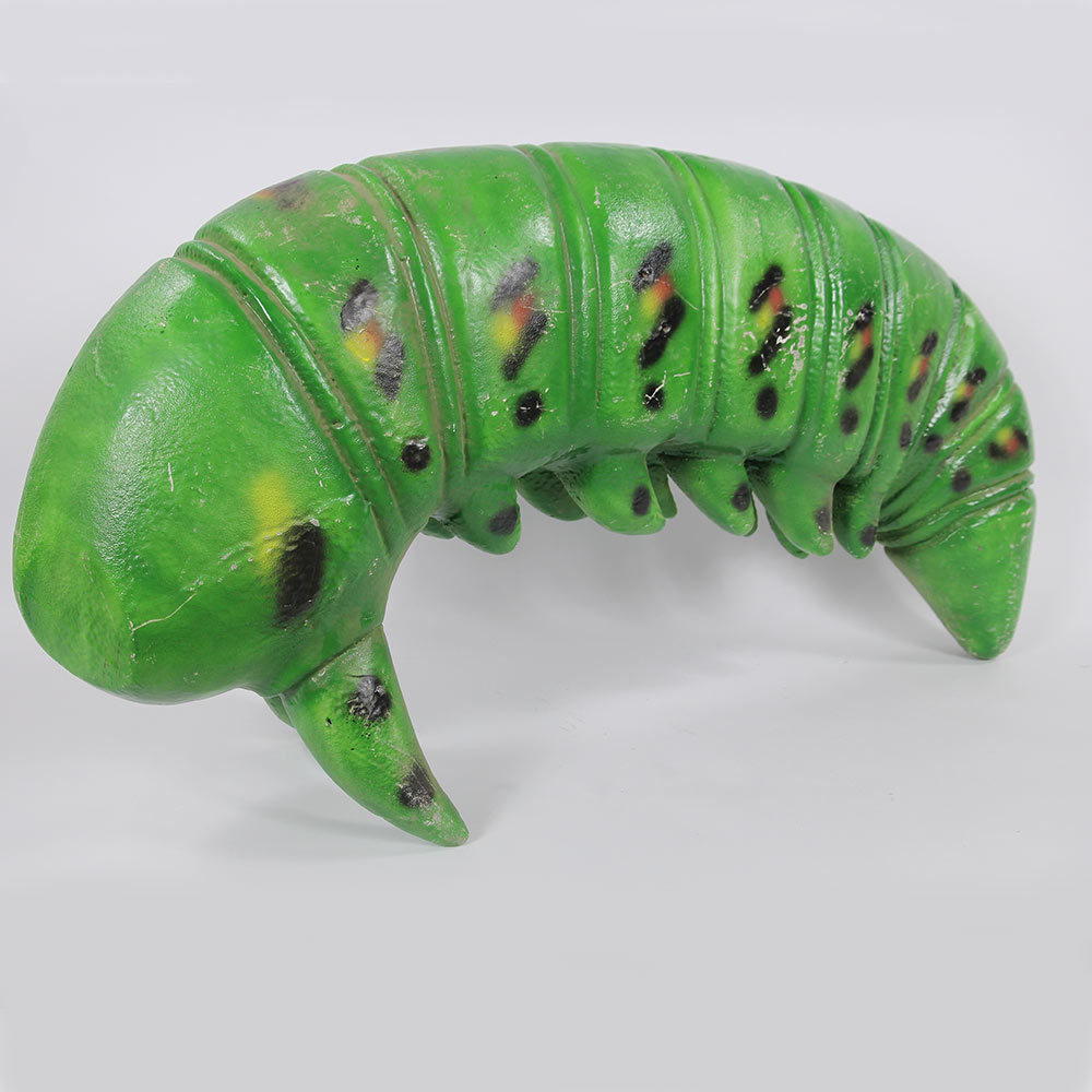 Animal - Caterpillar Green