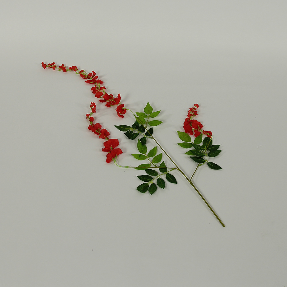 Plants - Flowers Long Red Green