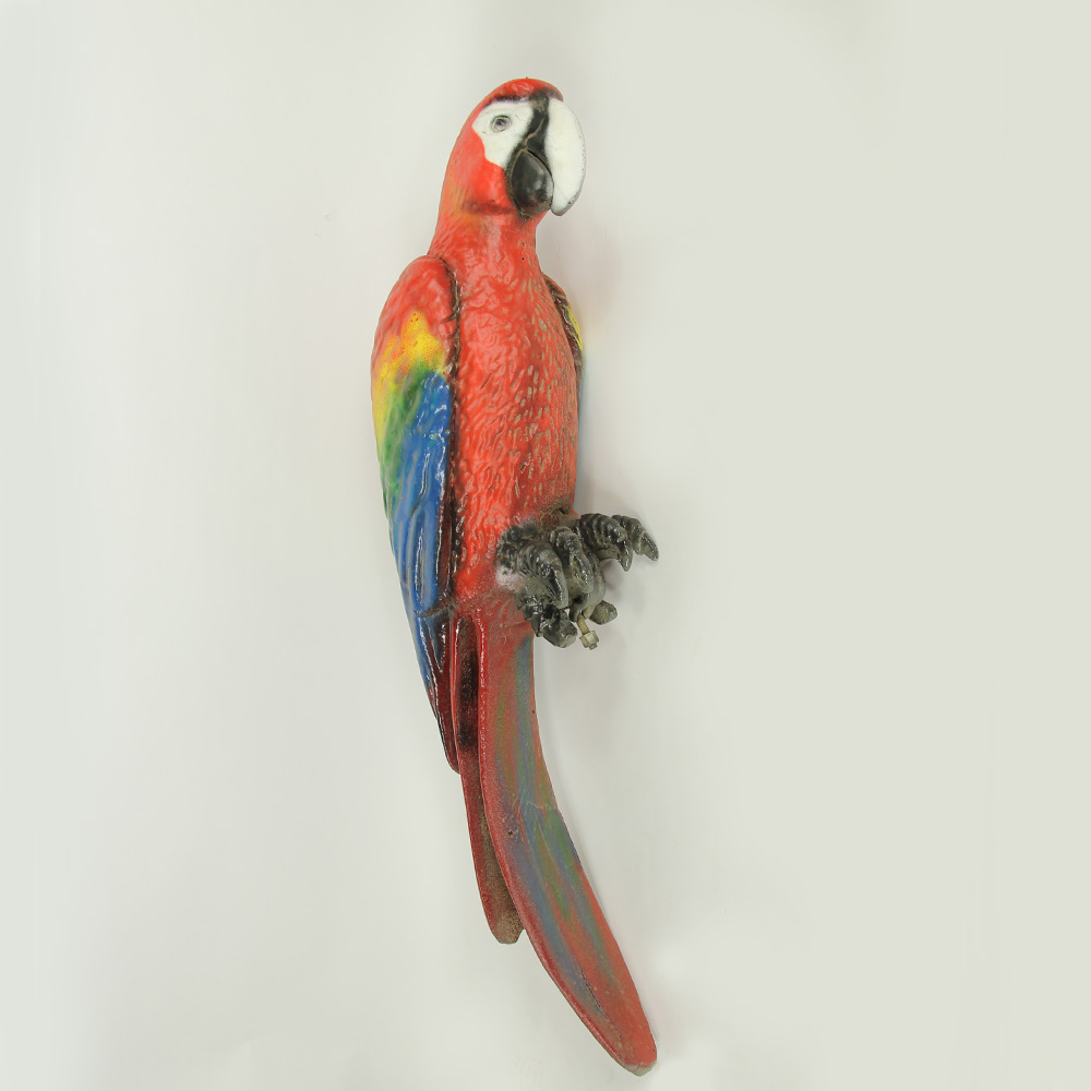 Animal - Parrot