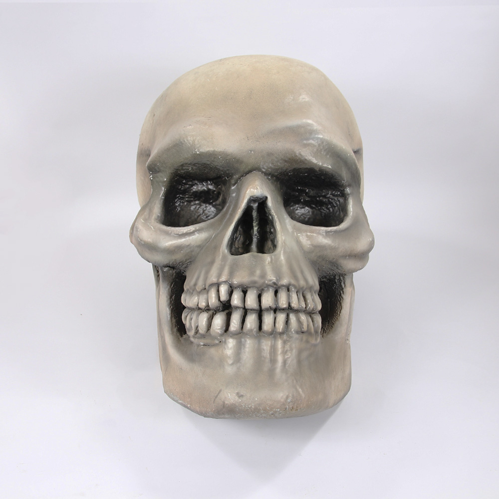 Human Skull Big